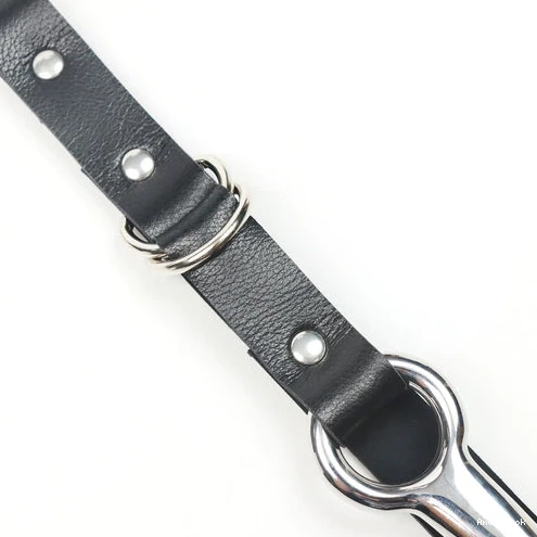 Anal and Hook EverydayUse Collar Kinky Leash 5853 with 0630